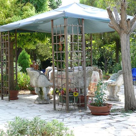 Bed&Breakfast Giardino Agritourist Controguerra ภายนอก รูปภาพ